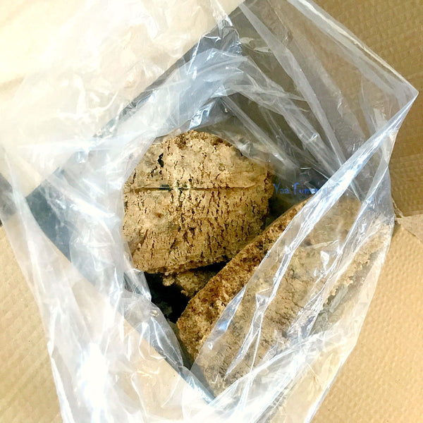 African Black Soap Wholesale 100kg